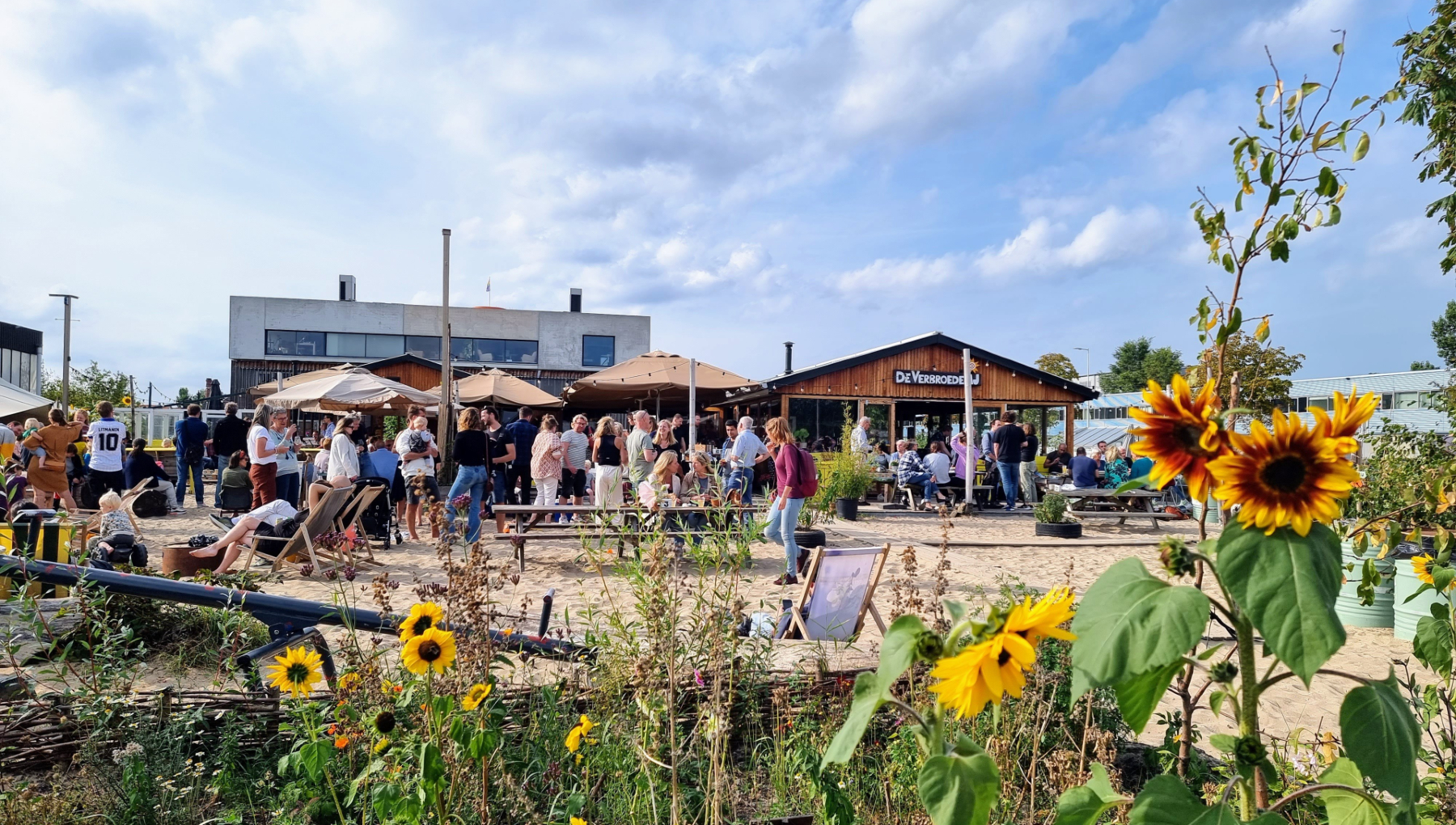 Zoku opening
