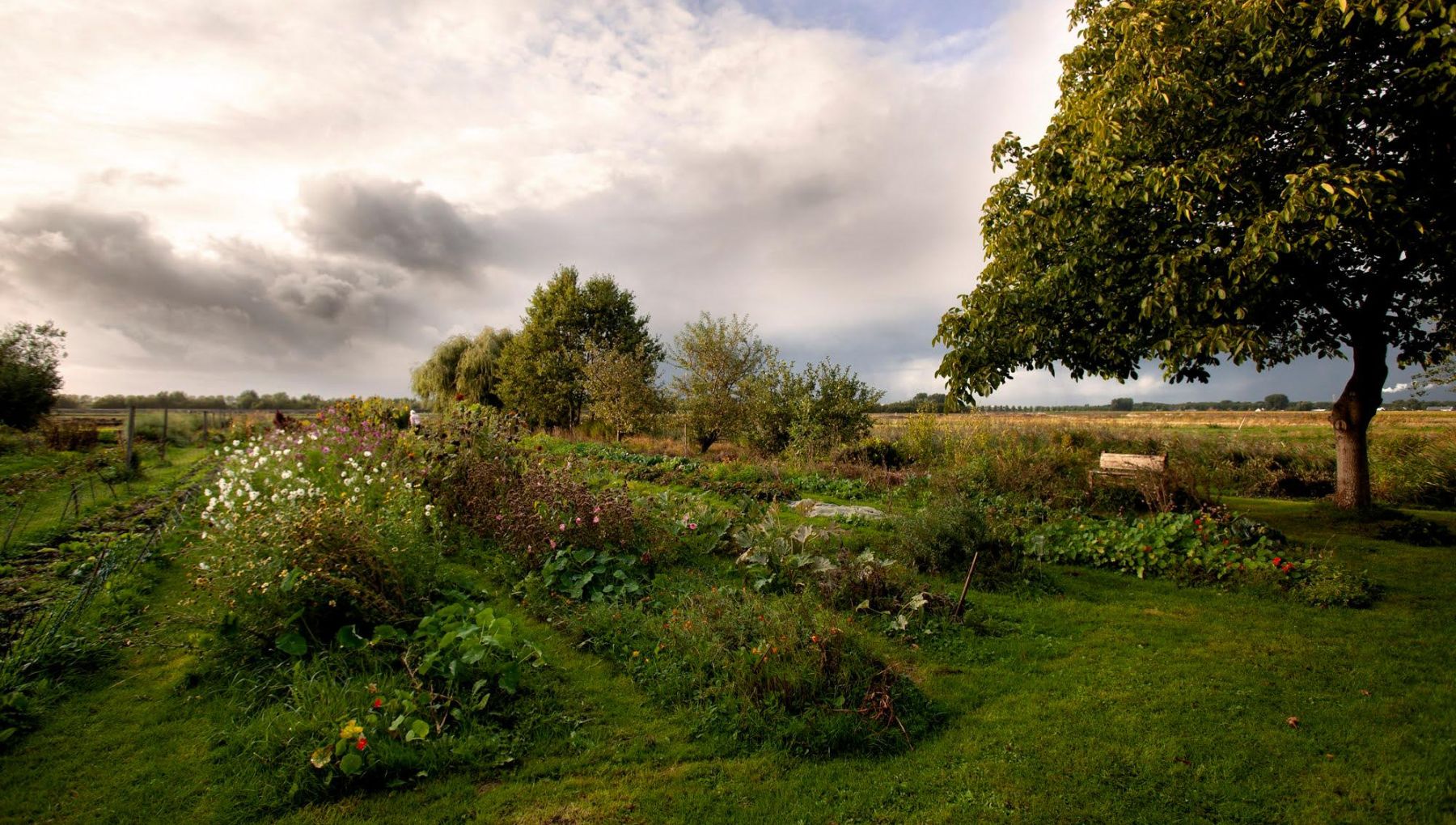 Lutkemeerpolder