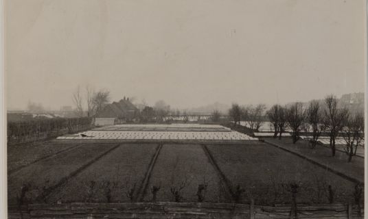 Zwart wit foto van de polder