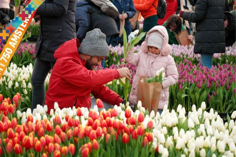 Tulpendag