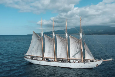 Schepen SAIL