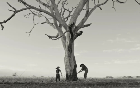 films april