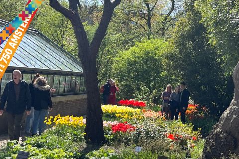 Tulpen in De Hortus