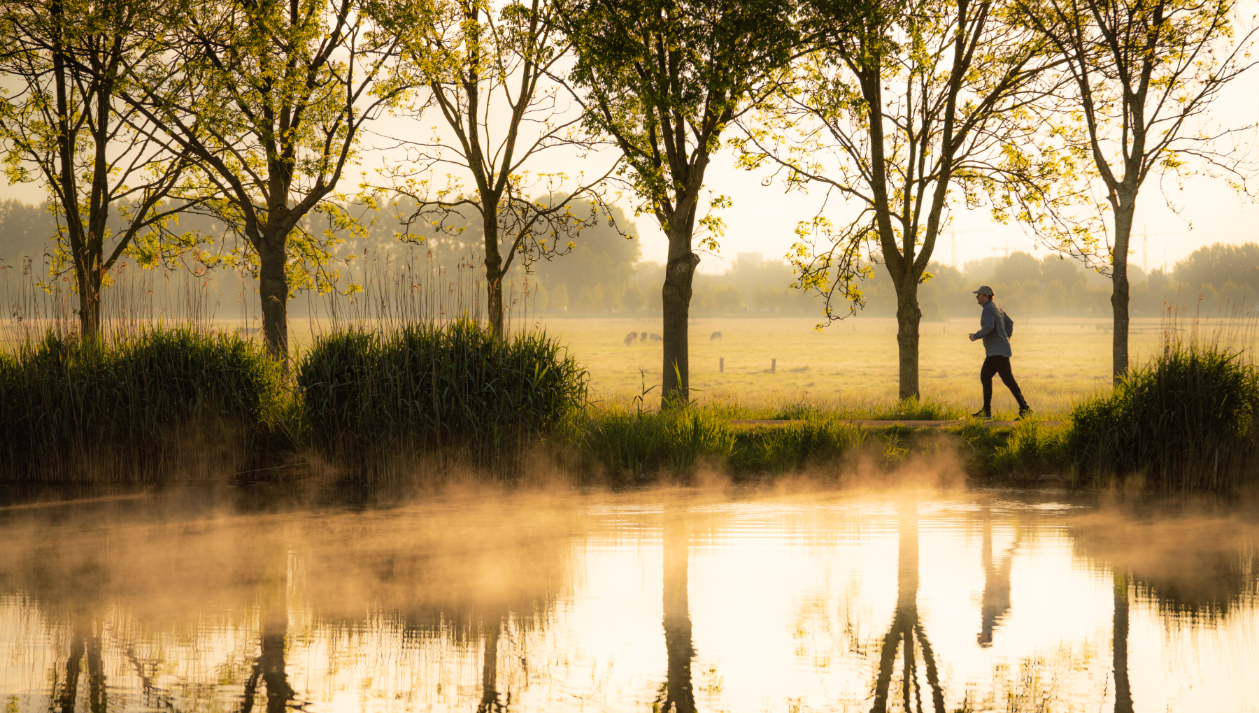 Hardlopen aan de Amstel