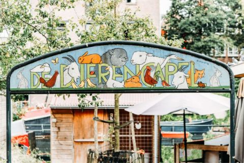 Kinderboerderij op Bickerseiland