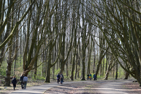 Amsterdamse Bos