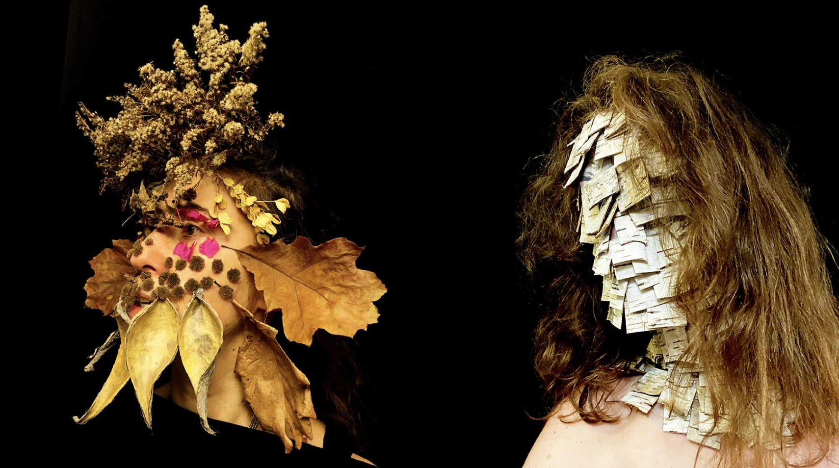 Face nature artwork woman with plants on her face