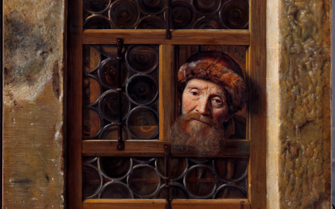 Samuel van Hoogstraten