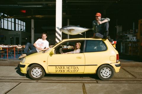 Barracuda