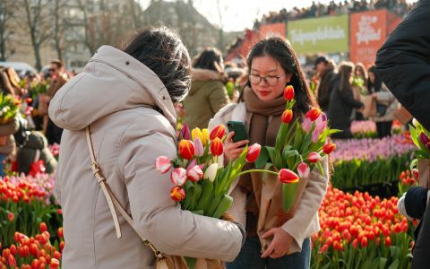 Gratis in januari